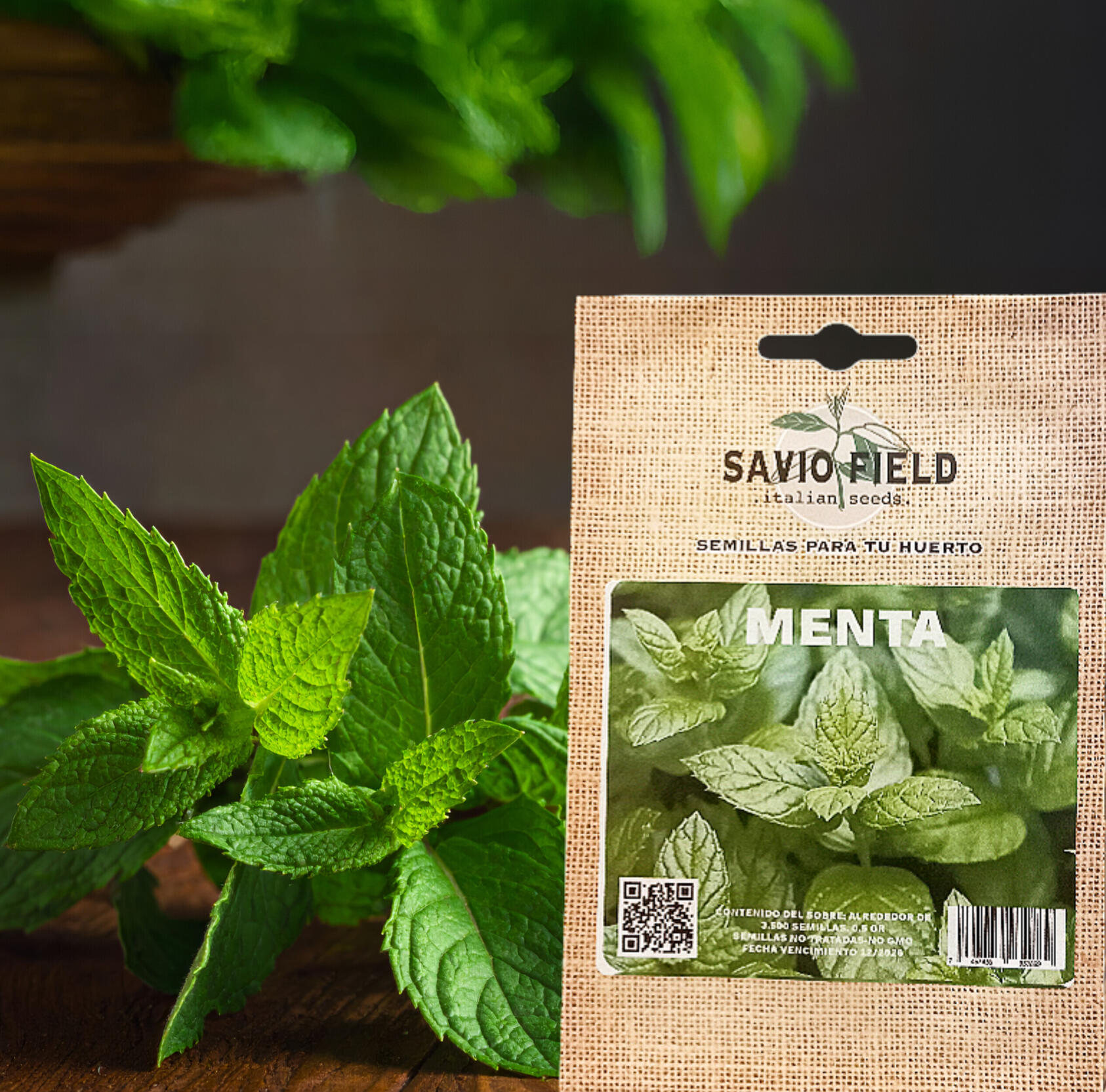 Menta (Mentha spicata o Mentha piperita) Características: Hierba aromática perenne, hojas verdes y olor refrescante. Vitaminas: A, C, B2, B3, y pequeñas cantidades de folato