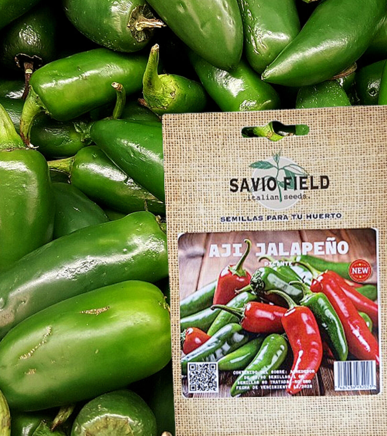 Ají Jalapeño Sabor: Fresco, ligeramente herbáceo. Uso: Salsas, nachos, rellenos, encurtidos. Planta: Compacta, muy productiva. Fruto: Corto, grueso, verde que madura a rojo
